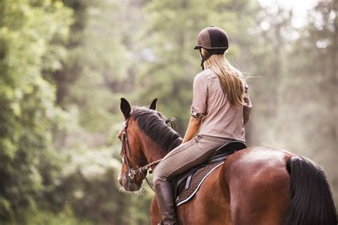 xnxx horse horse|'horse riding' Search .